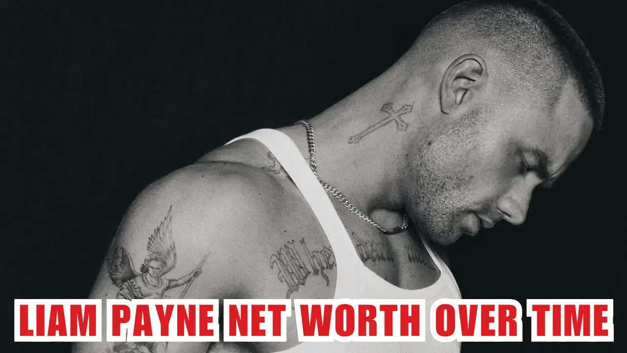 Liam Payne Net Worth Over Time